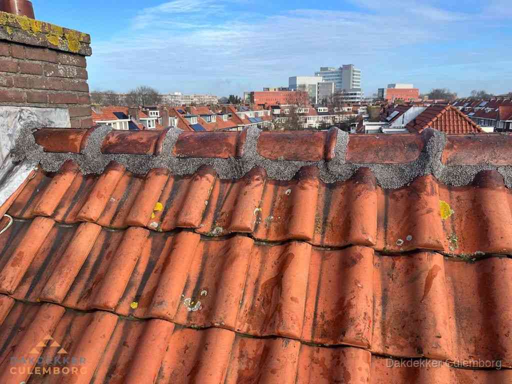Culemborg Daken Renoveren