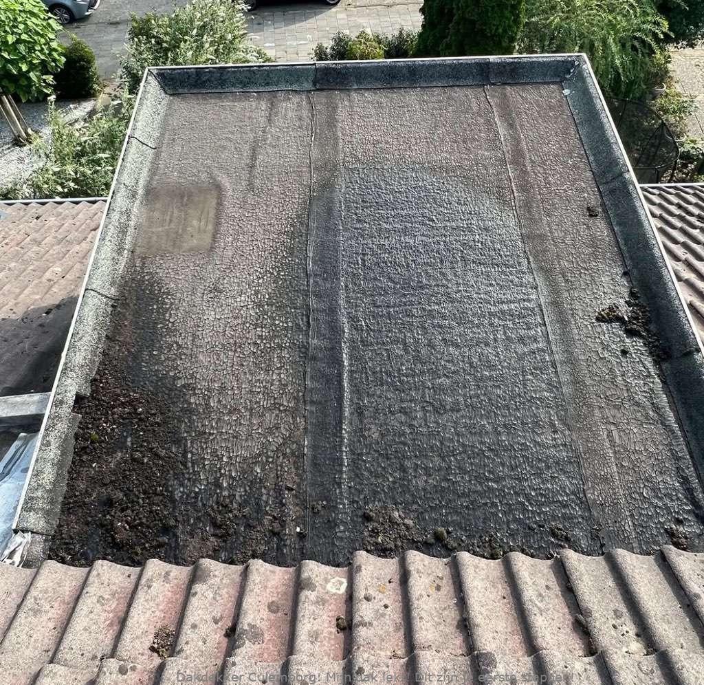 Dak Lekt Culemborg