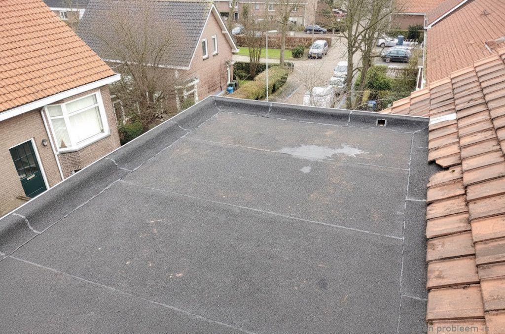Dakdekker In Najaar Culemborg
