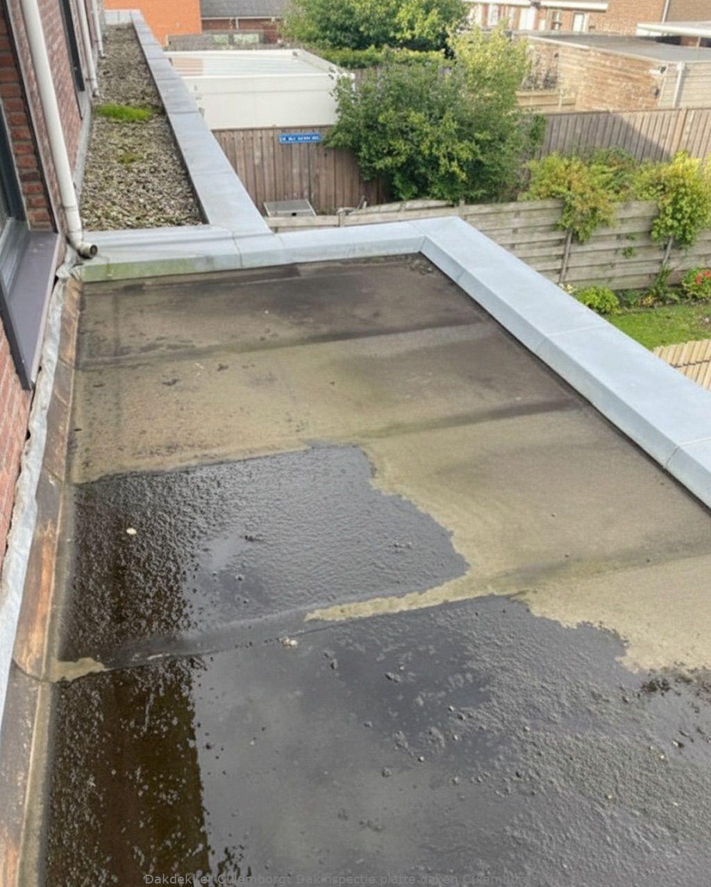 Dakinspectie Platte Daken Culemborg