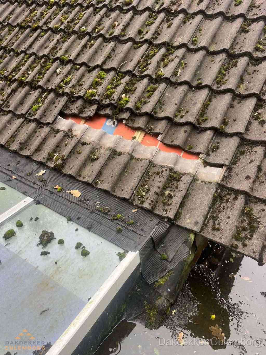 Dakpannen Repareren Culemborg