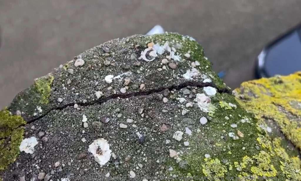 Oorzaken Van Daklekkages Culemborg