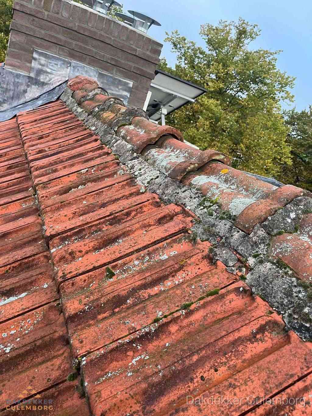 Renovatie Hellend Dak Culemborg
