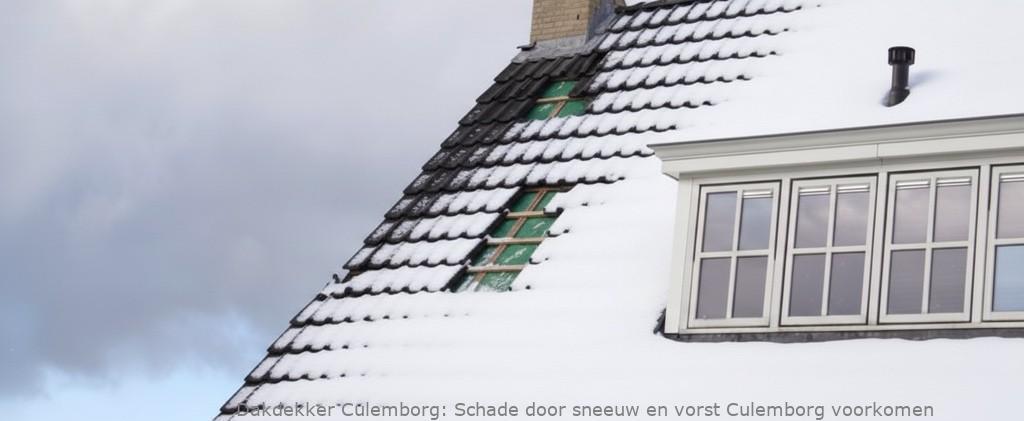 Schade Door Sneeuw En Vorst Culemborg