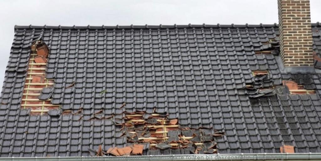 Veelgemaakte Fouten Bij Dakreparatie Culemborg